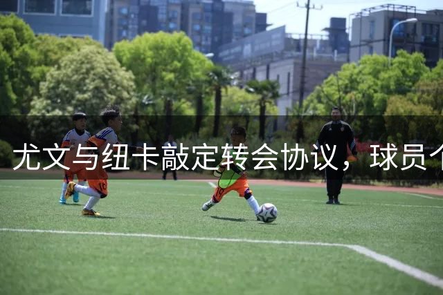 尤文与纽卡敲定转会协议，球员个人条款待商谈